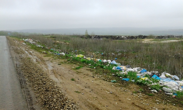 При въезде в д. Шкилевка