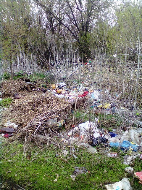 д.Шкилевка,ул.Олимпийская возле водонапорной башни